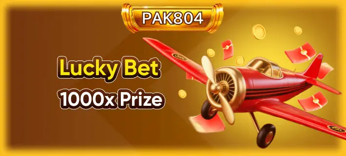 pak804-game