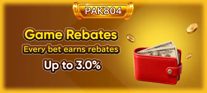 pak804-game
