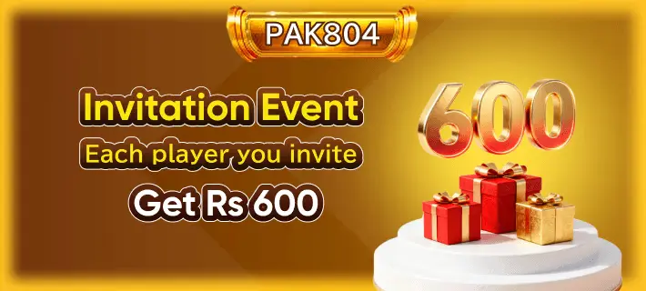pak804-game